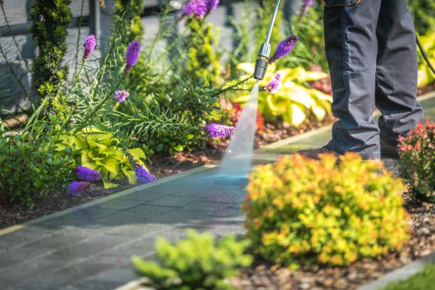 Best Patio and Deck Pressure Washing  in Roselle, NJ