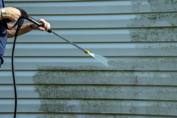 Best Pool Deck Cleaning  in Roselle, NJ