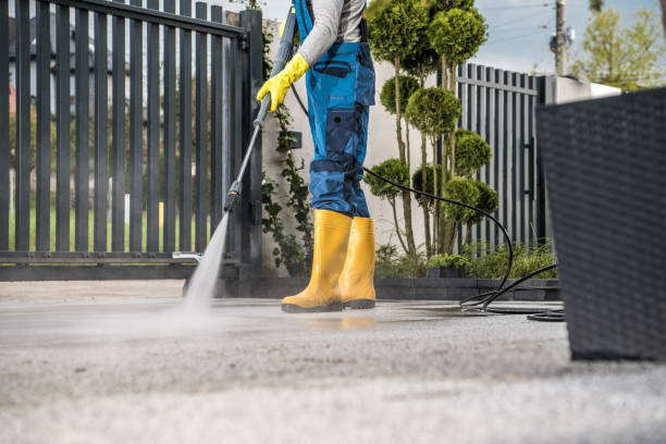 Best Fence Cleaning  in Roselle, NJ