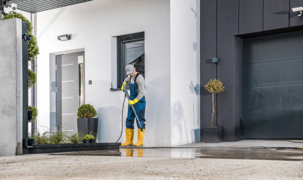 Best Building Exterior Washing  in Roselle, NJ